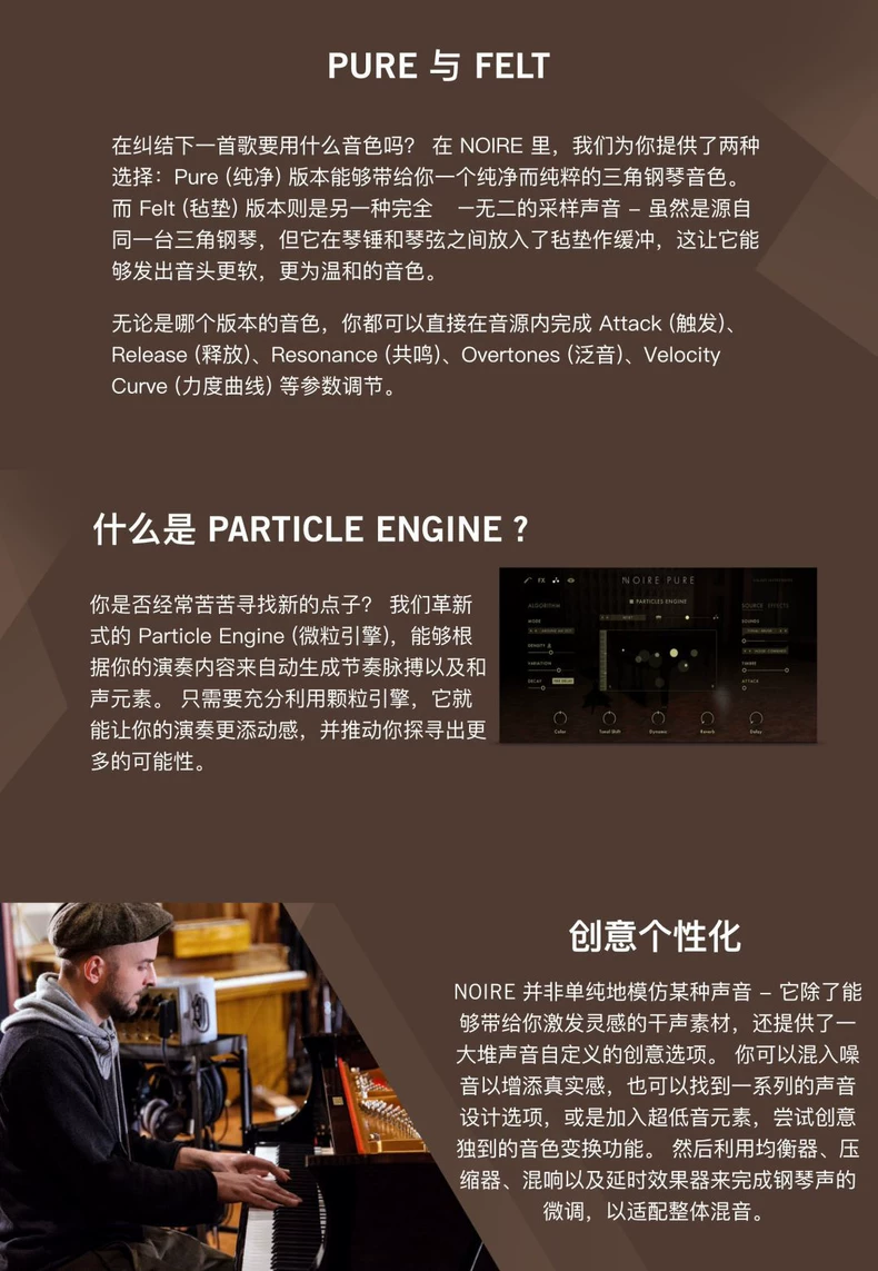 Native Instruments Noire v1.2.0 (KONTAKT) 音乐厅三角钢琴音源