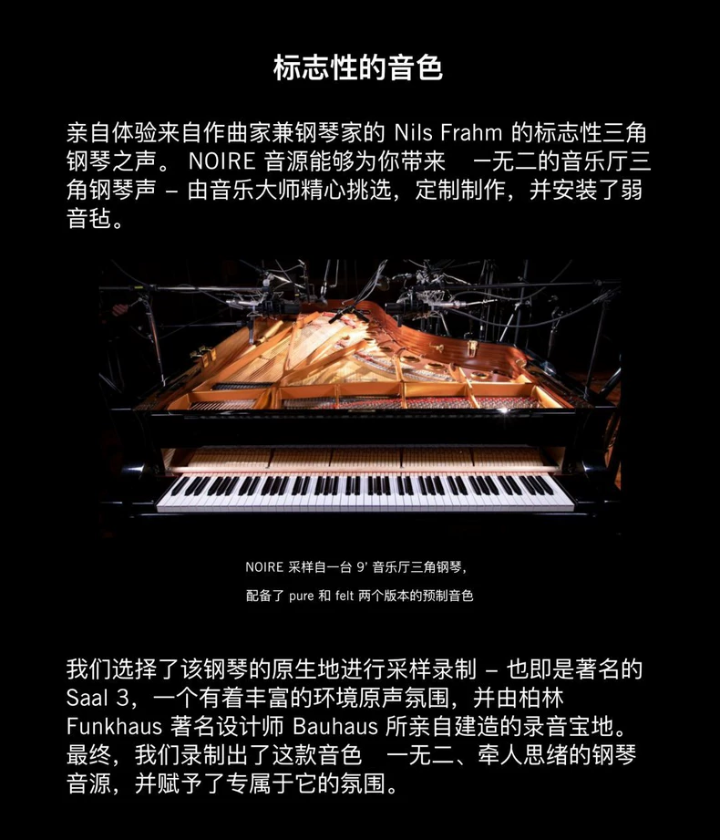 Native Instruments Noire v1.2.0 (KONTAKT) 音乐厅三角钢琴音源